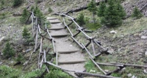 An interesting path in Rocky Mountain National Park.